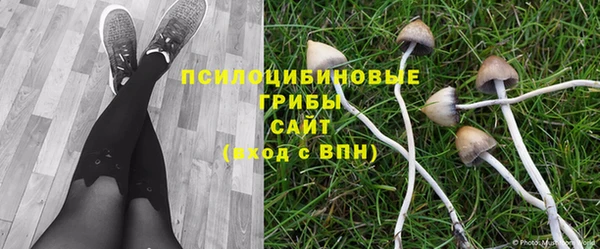ECSTASY Рославль