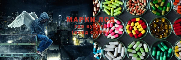 гидропоника Ростов