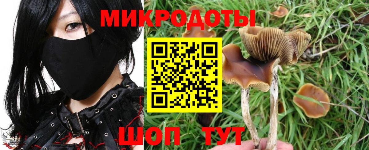 Бахчисарай  Галлюциногенные грибы MAGIC MUSHROOMS  Псилоцибиновые грибы MAGIC MUSHROOMS  Вход с VPN 